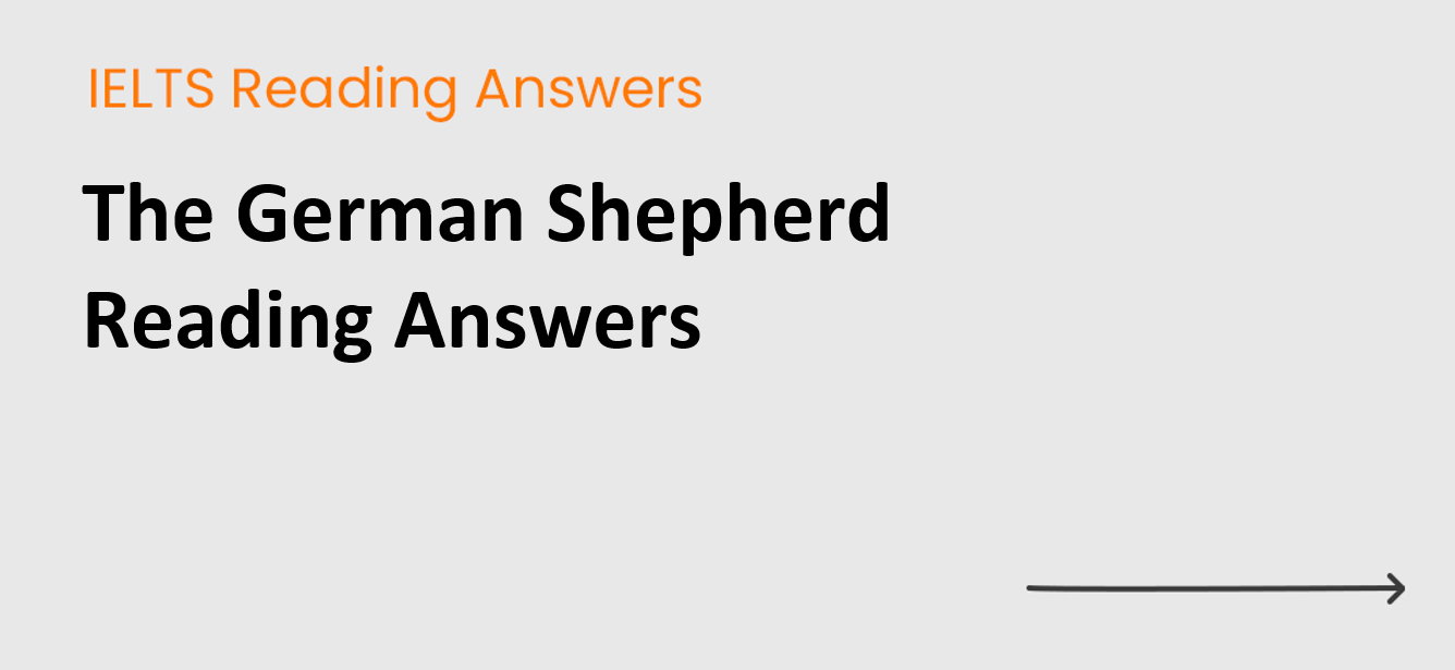 The German Shepherd Reading Answers